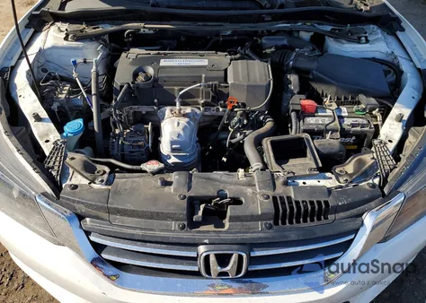 2014 Honda Accord Exl z USA, uszkodzony, nr VIN 1HGCR2F84EA184941